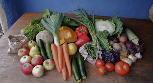 Family box of organic fruit and vegetables