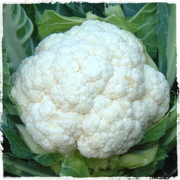 Cauliflower