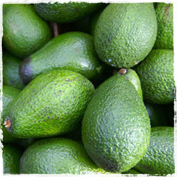 Avocado