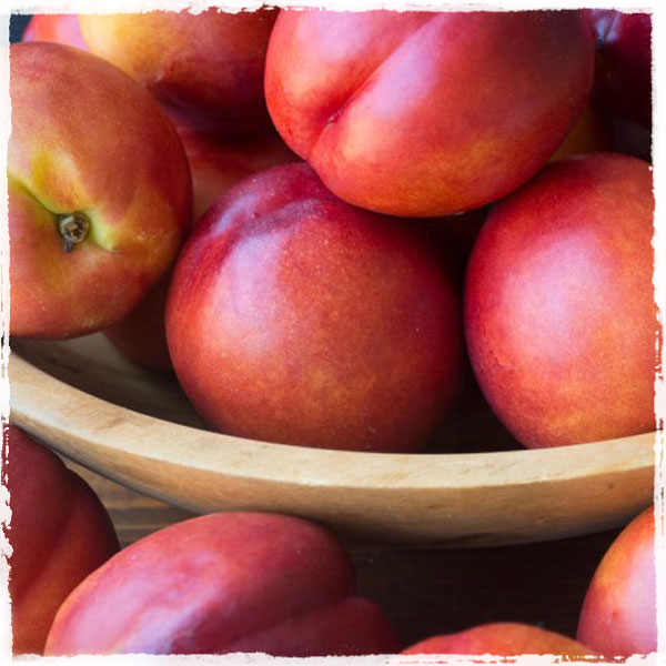 Yellow Nectarines