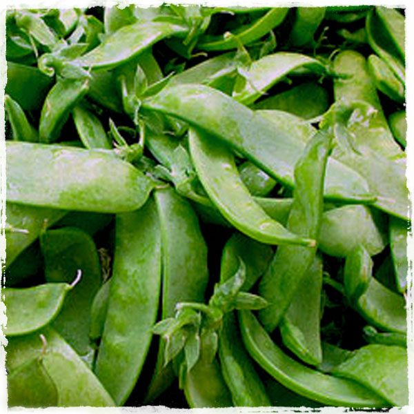 Snow Peas