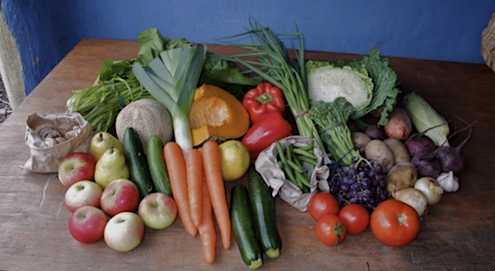 CERES_oganic fruit and veg Family box of organic fruit and vegetables