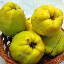 Organic Quinces