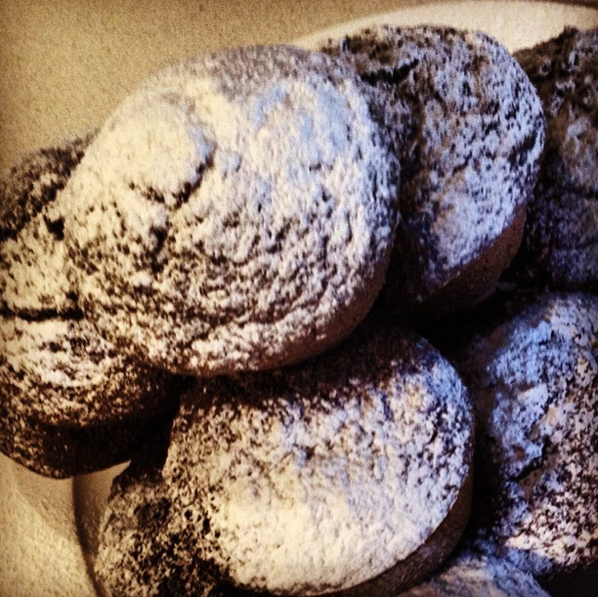 Chocolate Chard Muffin Recipe