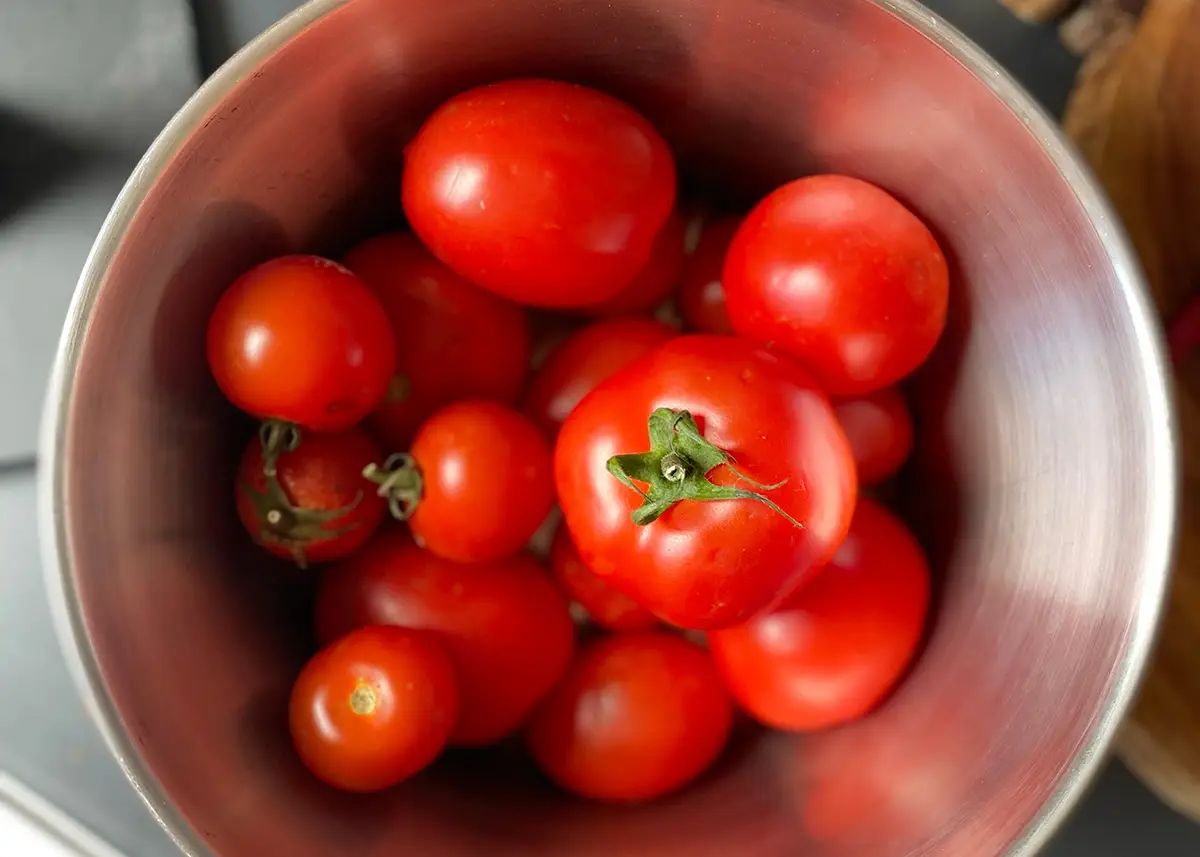 Kasundi 2 - CERES Fair Food