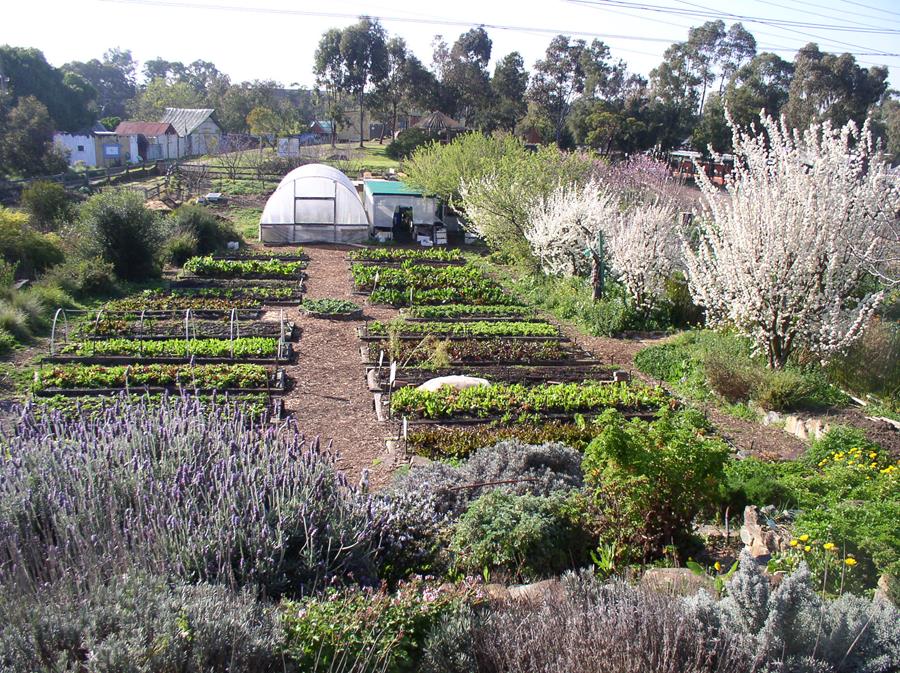 Big win for small farmers / Dream job at CERES Farm CERES Fair Food