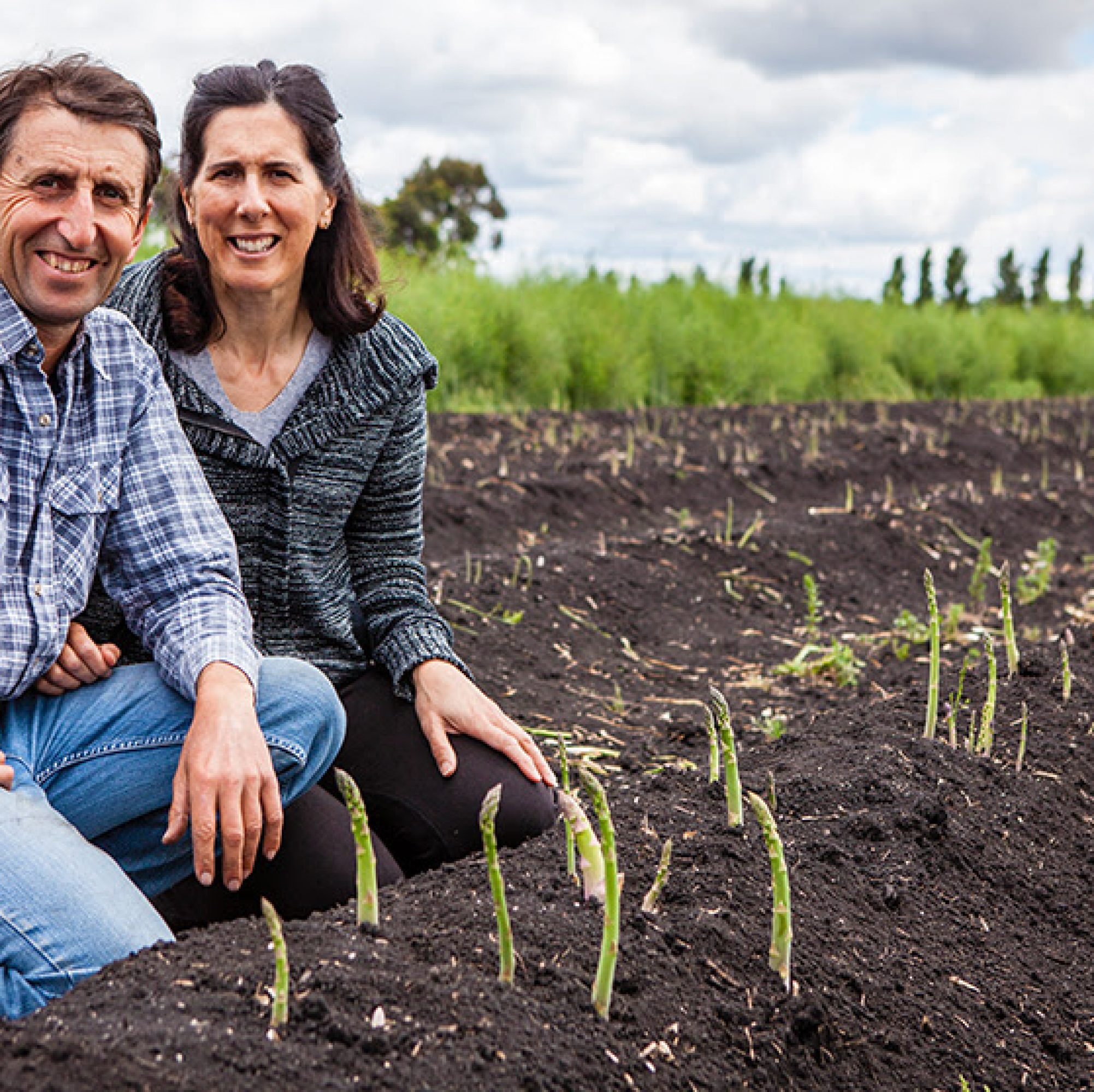 Cafresco asparagus