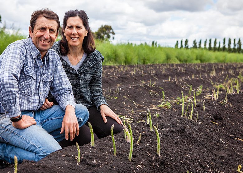 Cafresco asparagus