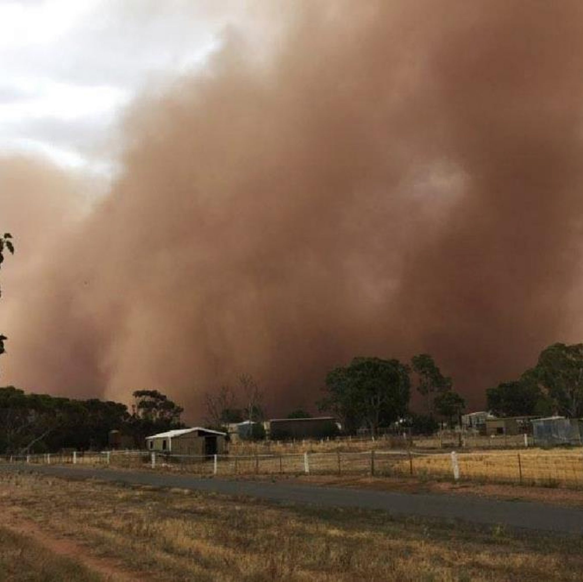 Dust storm SA