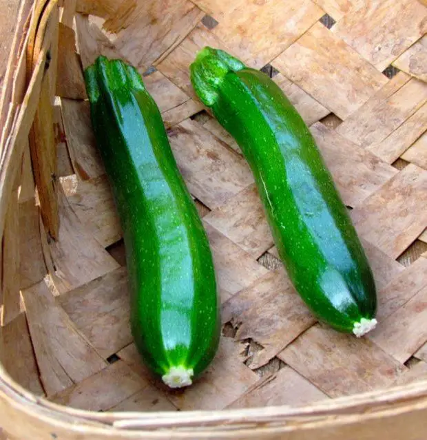 zucchini basket