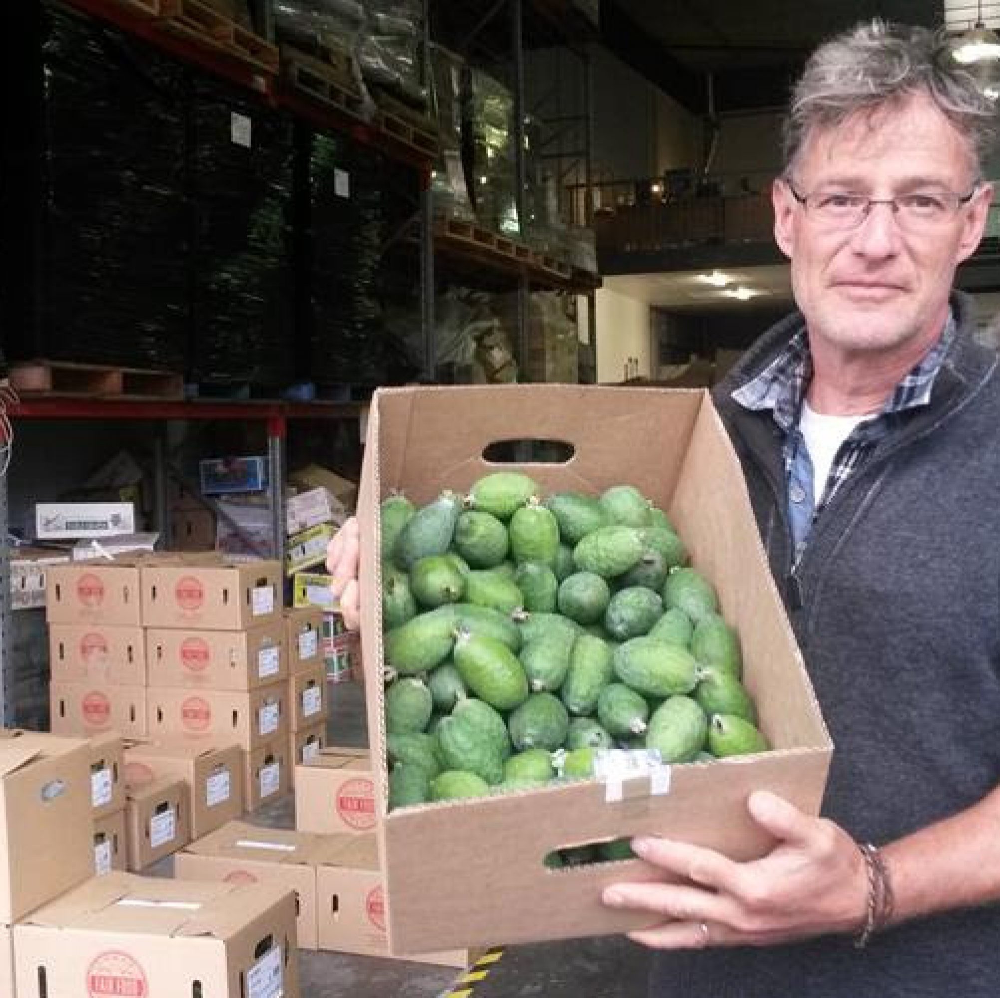 Feijoas Paul Haar