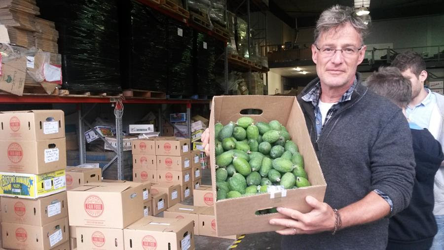 Feijoas Paul Haar