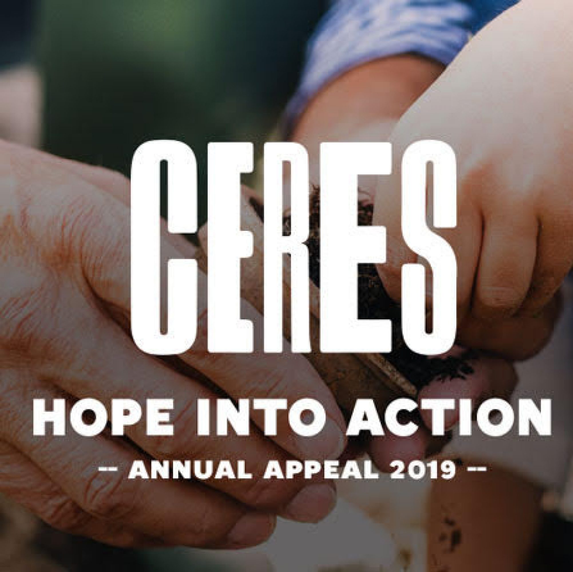 CERES appeal