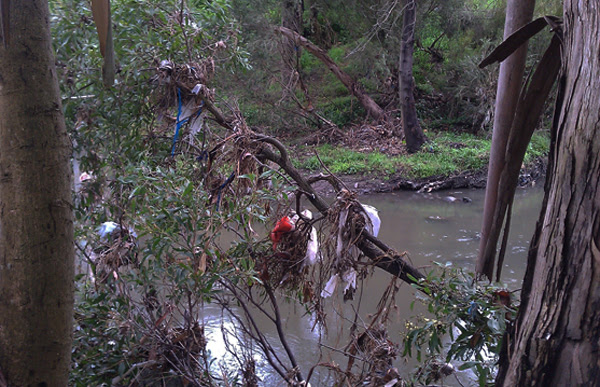 Merri Creek plastic