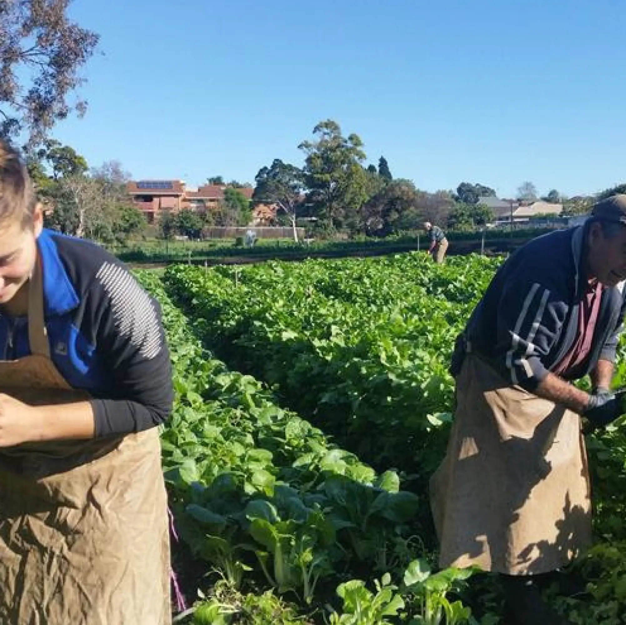 Joe's Garden and Complete Urban Farmer