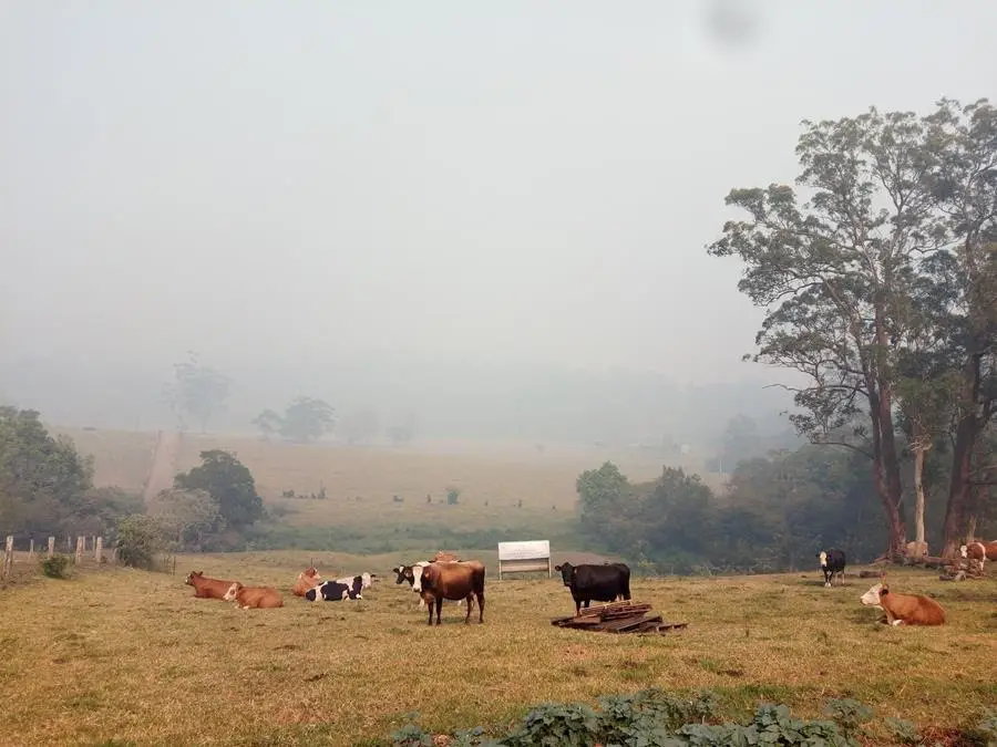 ORICoop_fire2019 - CERES Fair Food