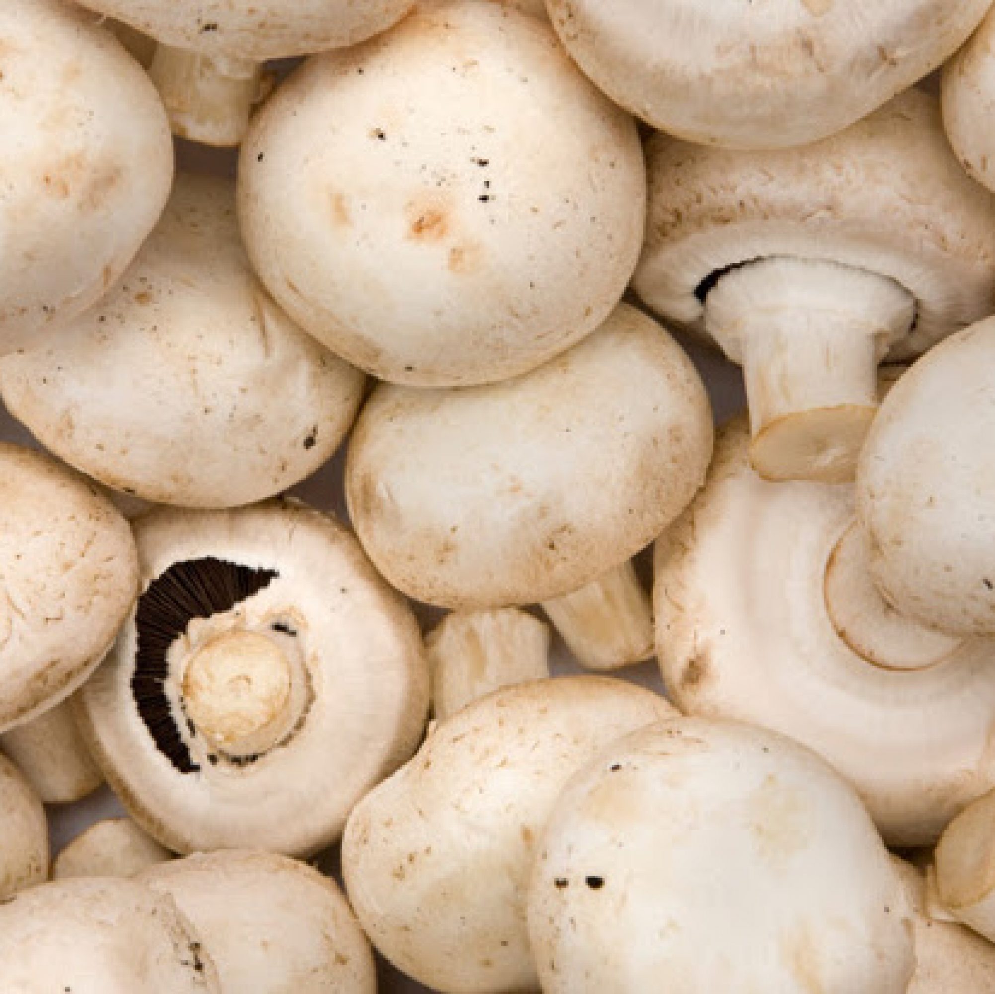 Mushrooms