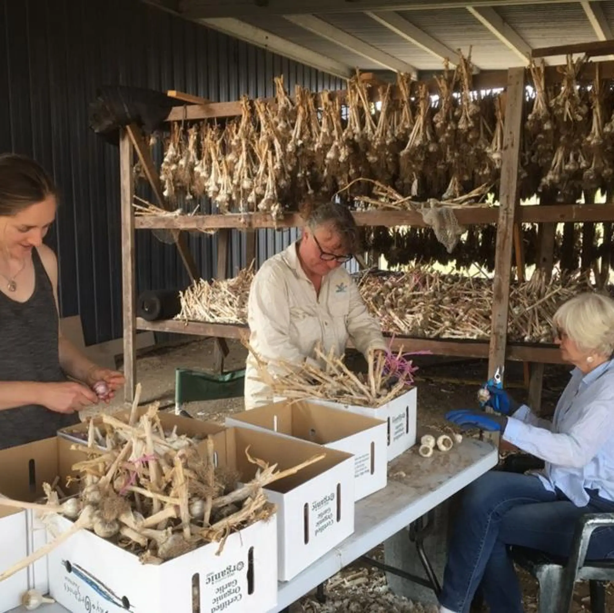 Volunteers after the fire