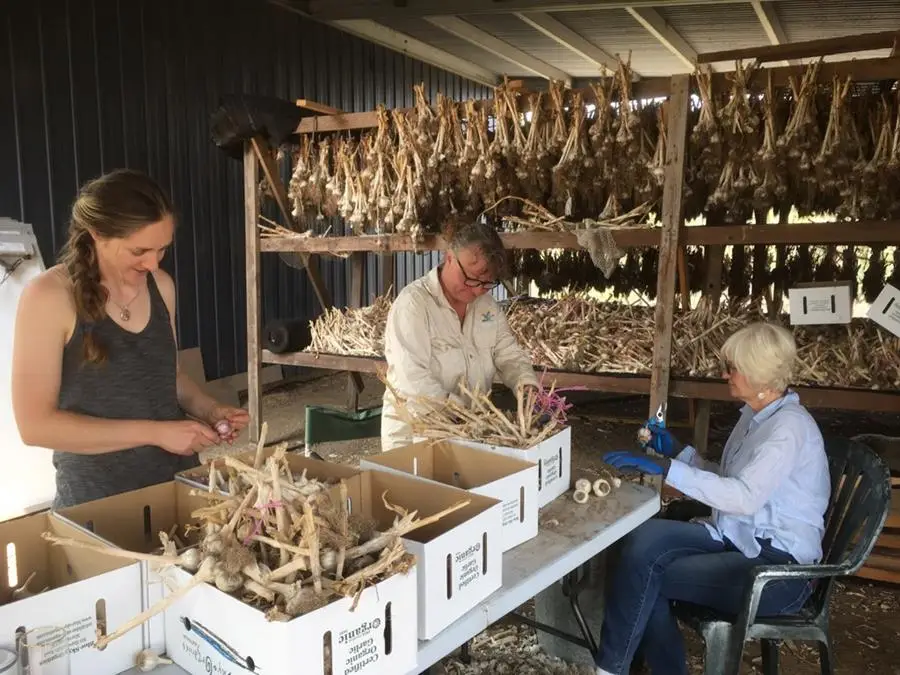 Volunteers after the fire