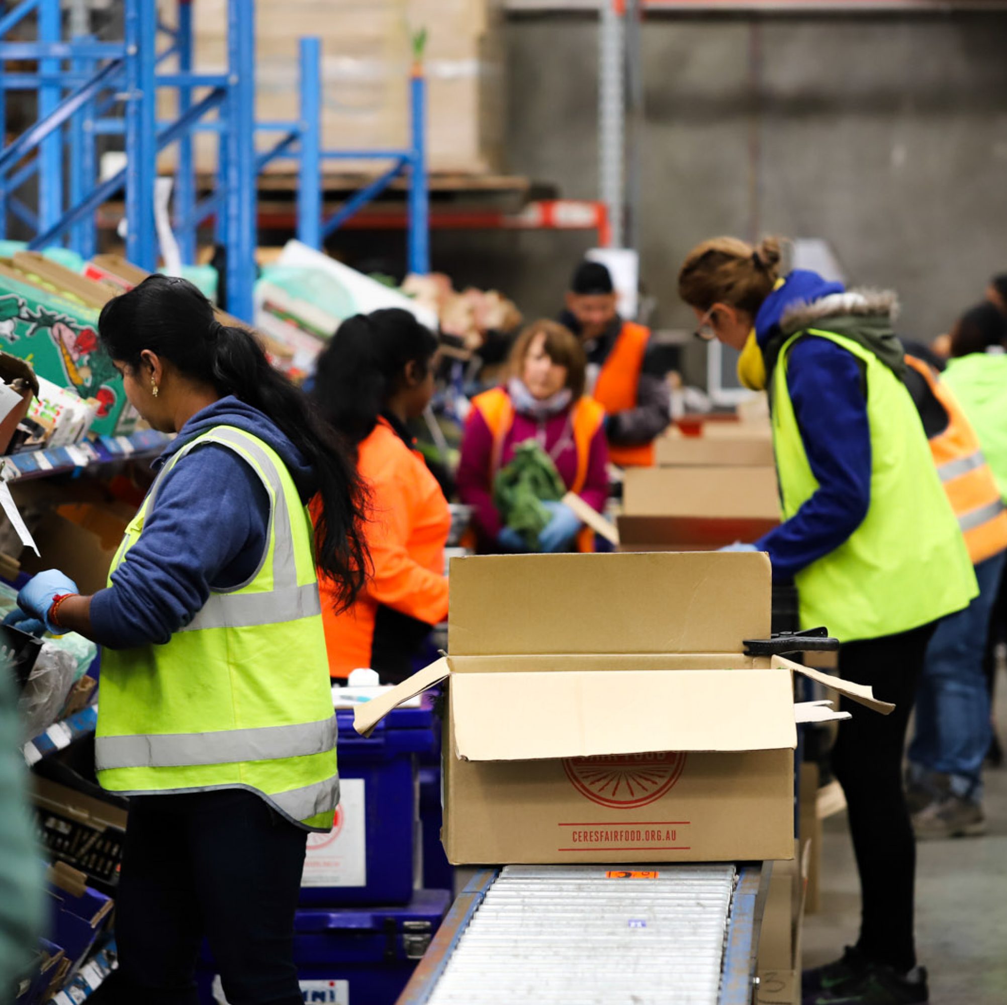 Fair Food warehouse, packing