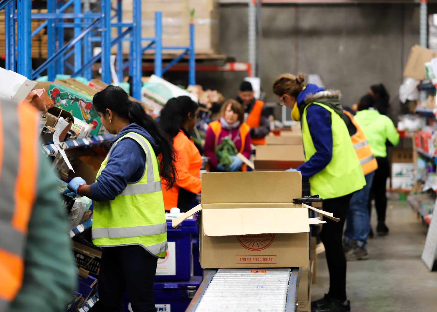 Fair Food warehouse, packing