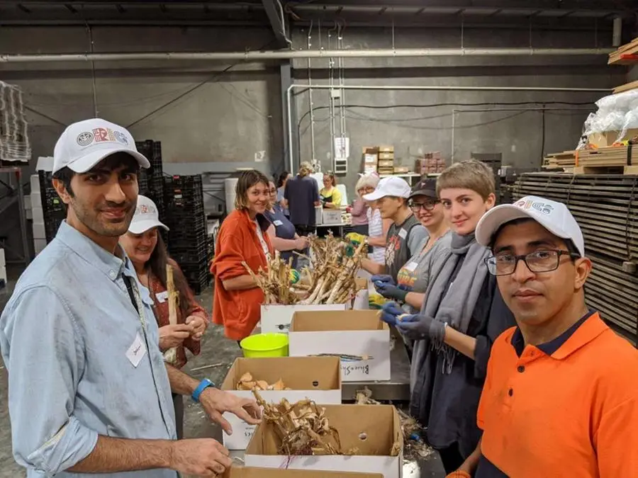 Ori Coop garlic cleaning