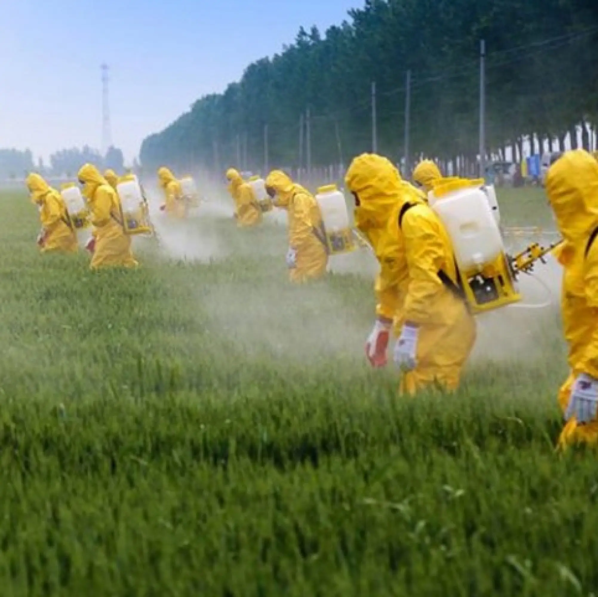 Spraying pesticides