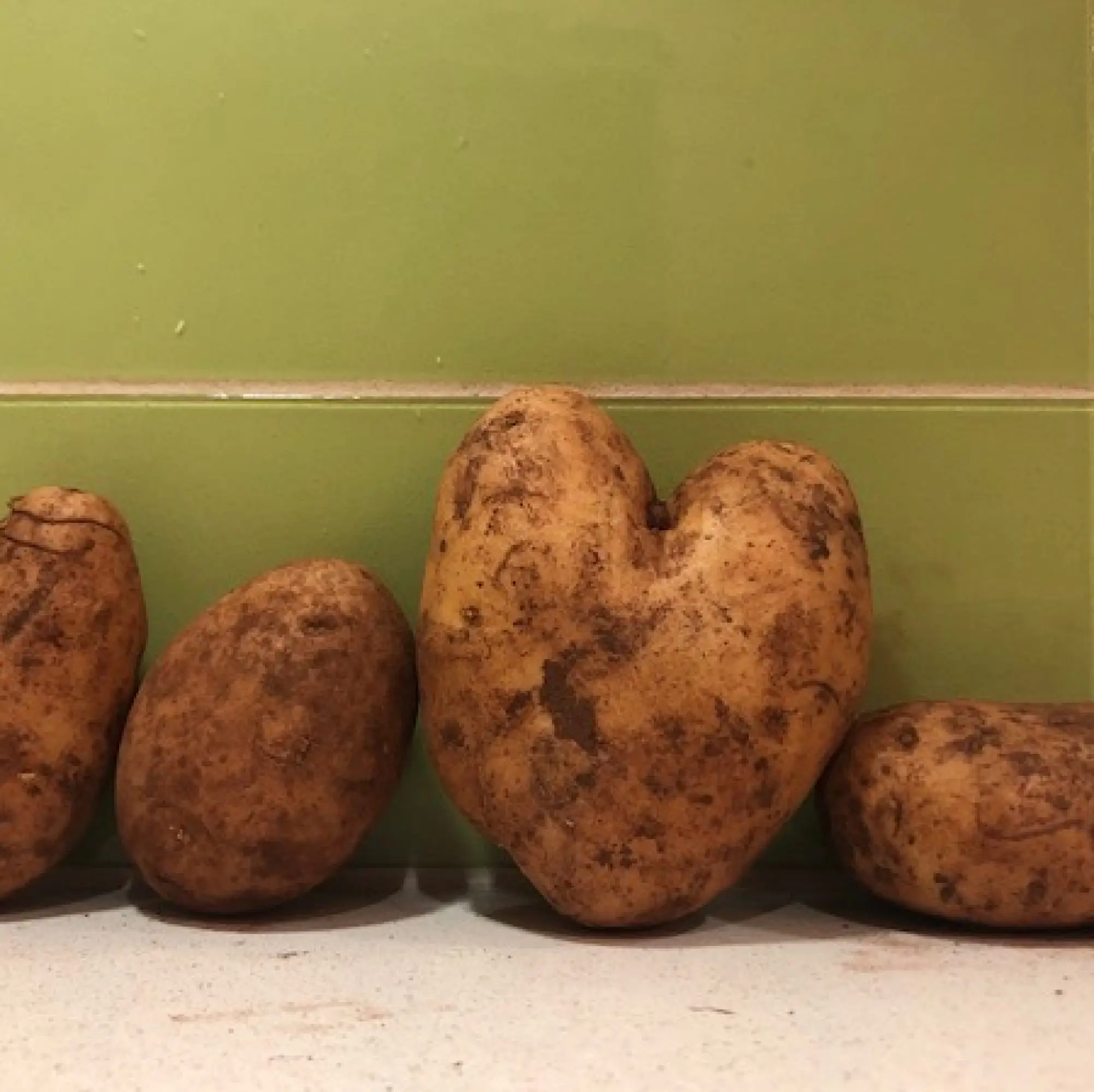 Hello Vegetable love spuds