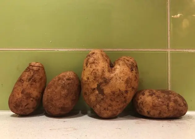 HelloVegetable_heart_potato - CERES Fair Food Hello Vegetable love spuds