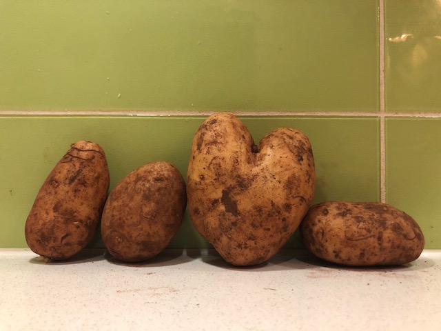 Hello Vegetable love spuds