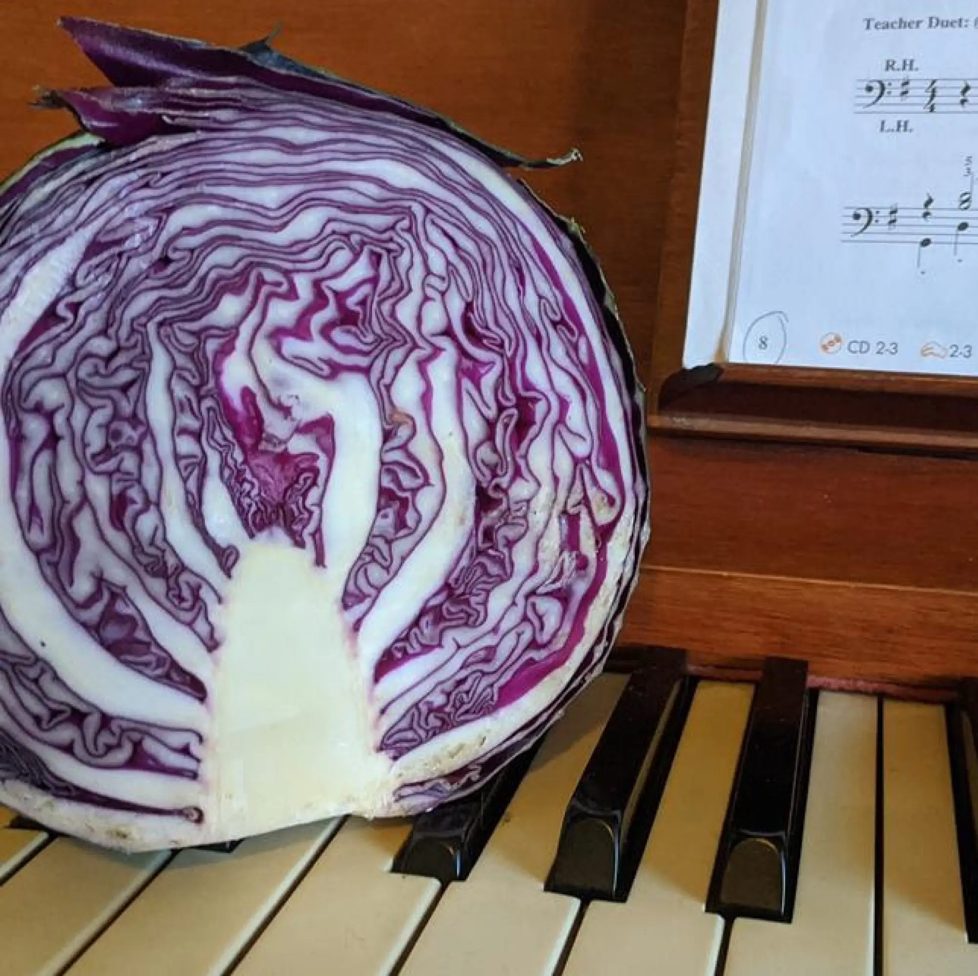 Hello Vegetable - cabbage and piano