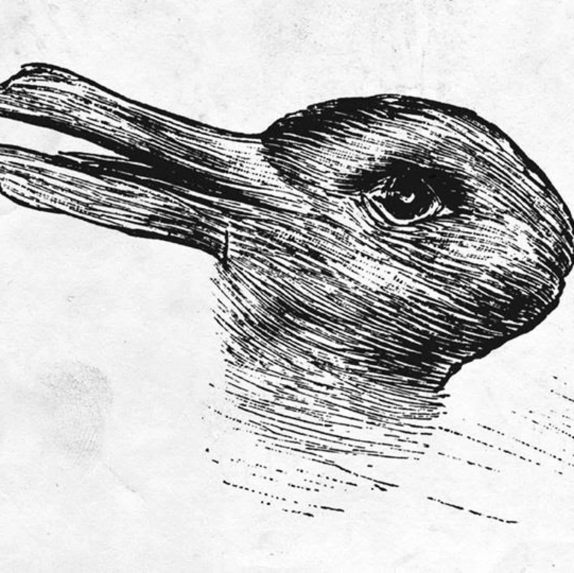 Duck or Rabbit