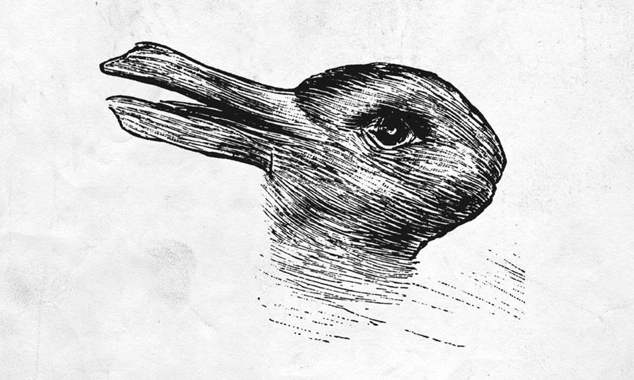 Duck or Rabbit