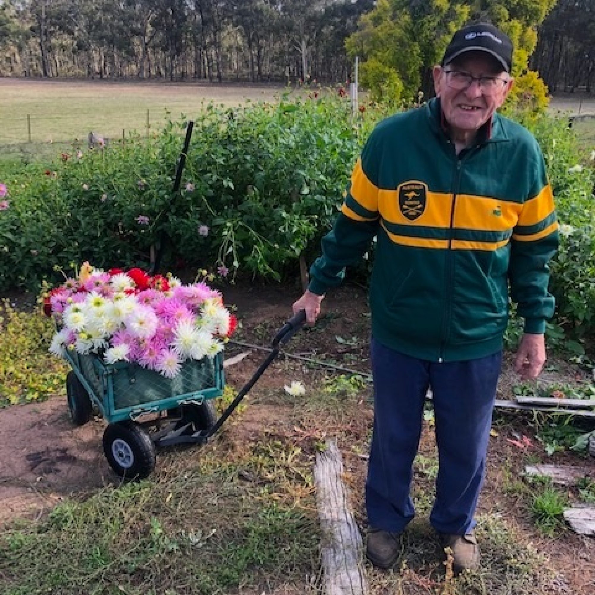 Nev and Dahlias at Bellfrey Farm