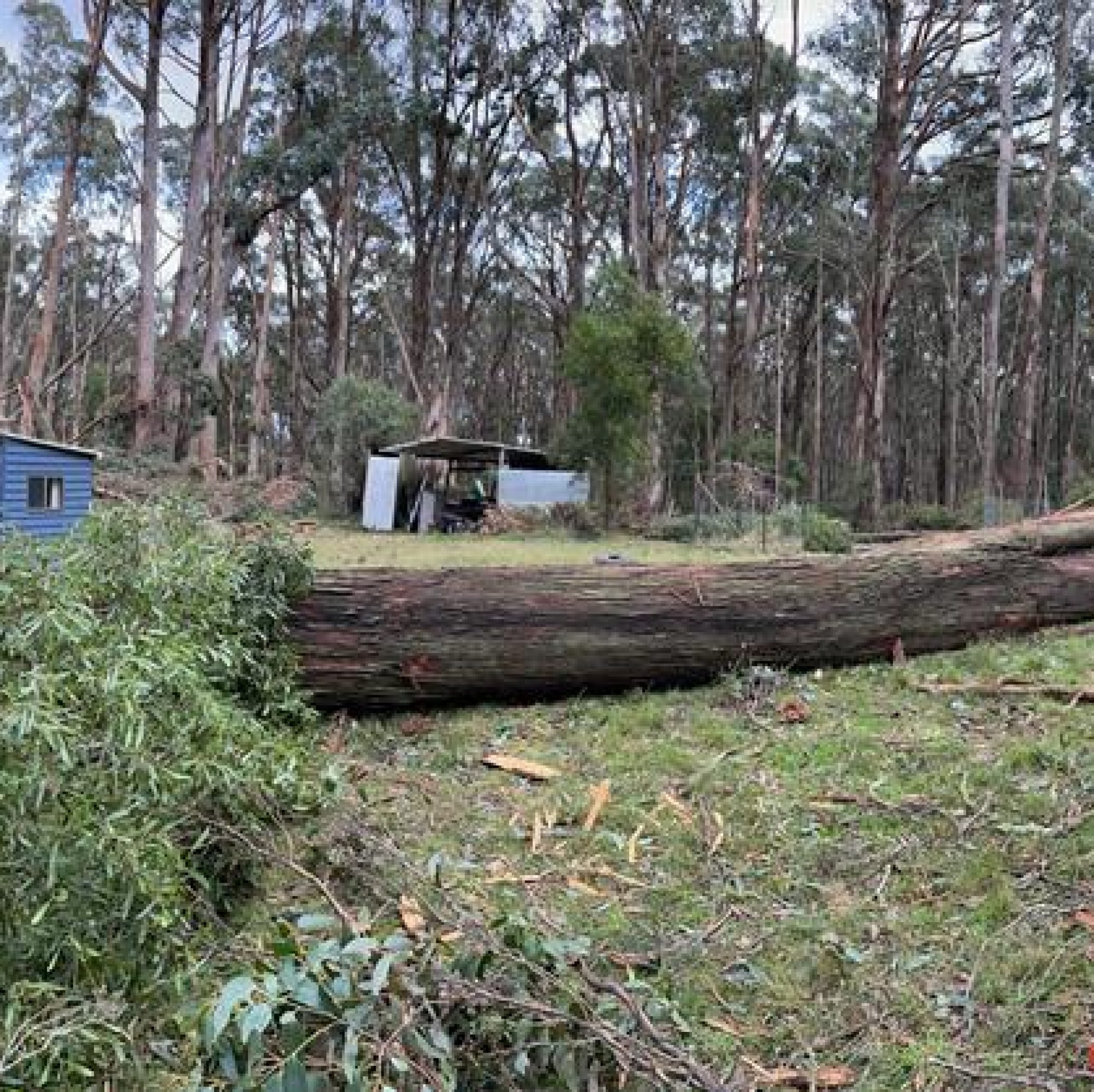 Storm damage salvage and CERES Fair Wood