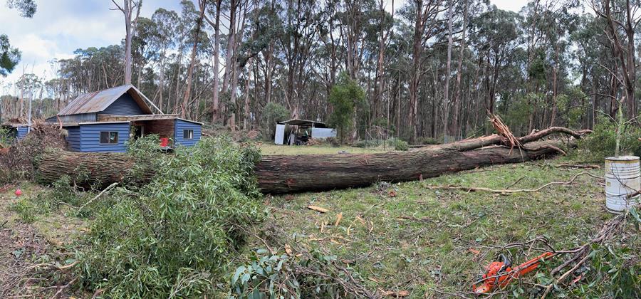 Storm damage salvage and CERES Fair Wood