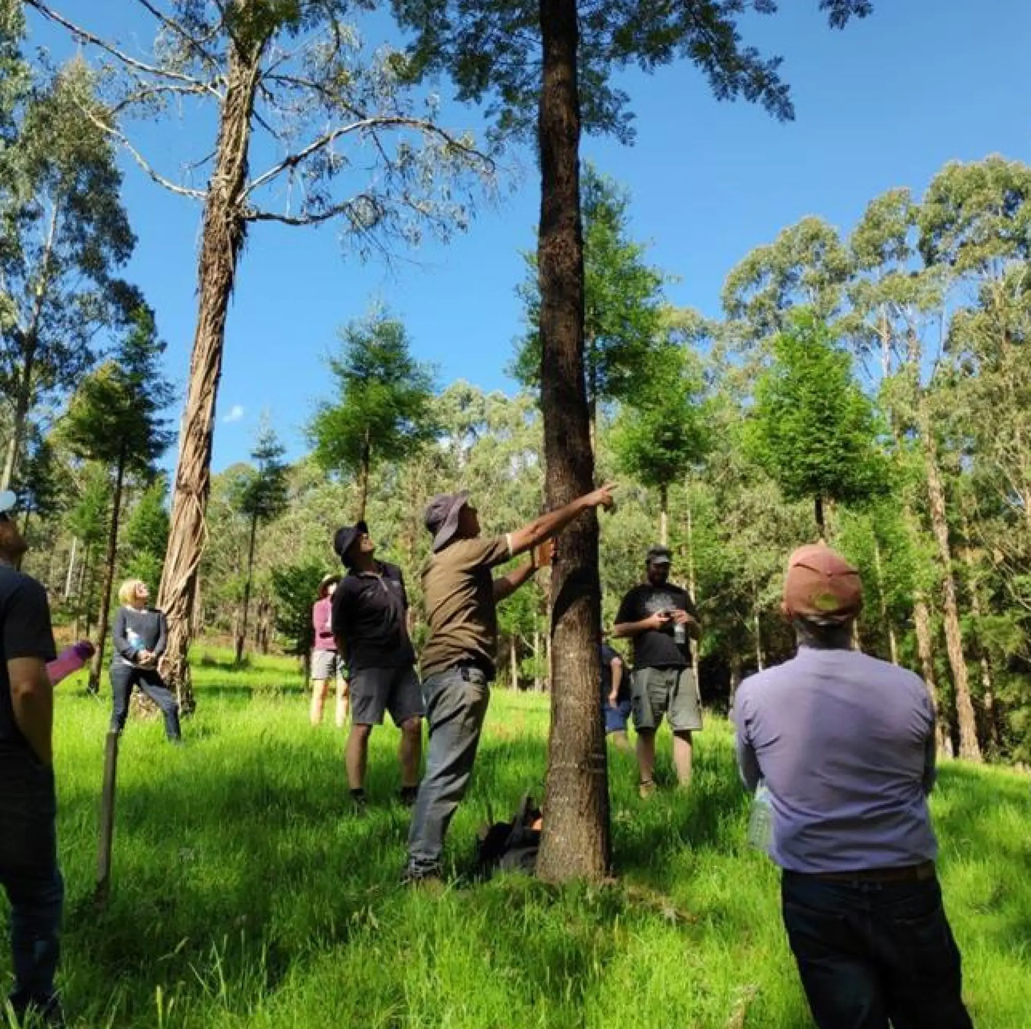 Rowan Reid Agroforestry workshop