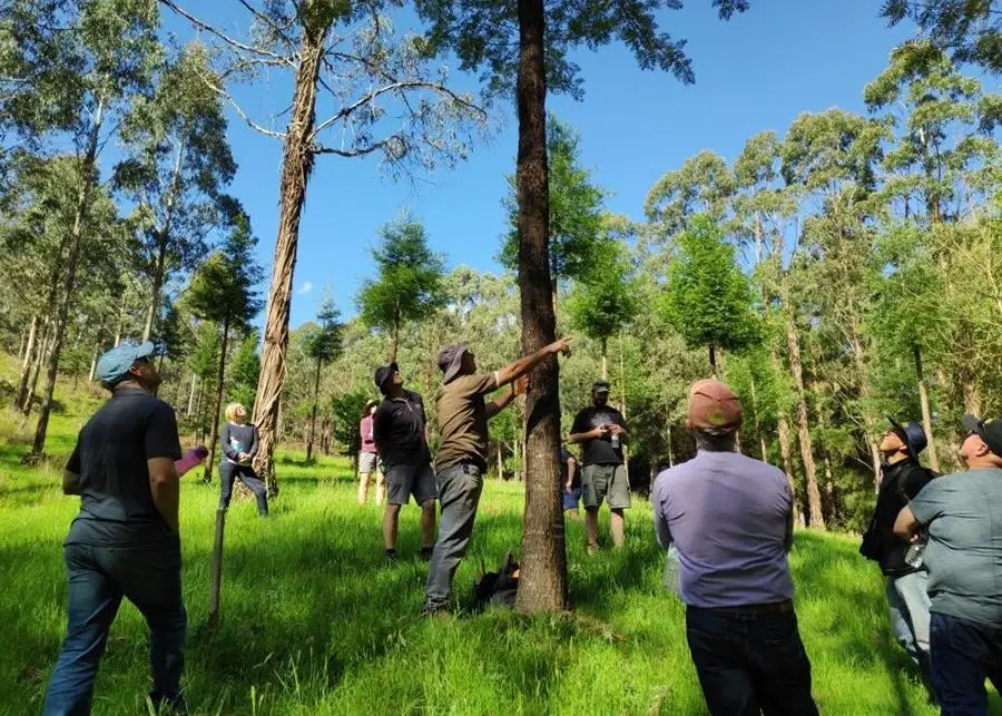 Rowan-Reid-Agroforestry-CERES-Fair-Wood - CERES Fair Food Rowan Reid Agroforestry workshop