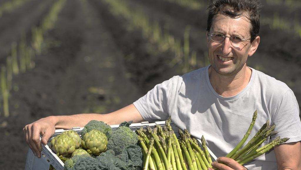 Maurie-Cafra-asparagus-1 - CERES Fair Food Maurie Cafra, organic grower