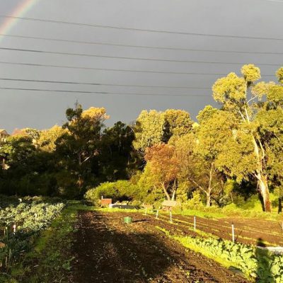 Rainbow over Joes Garden, Coburg