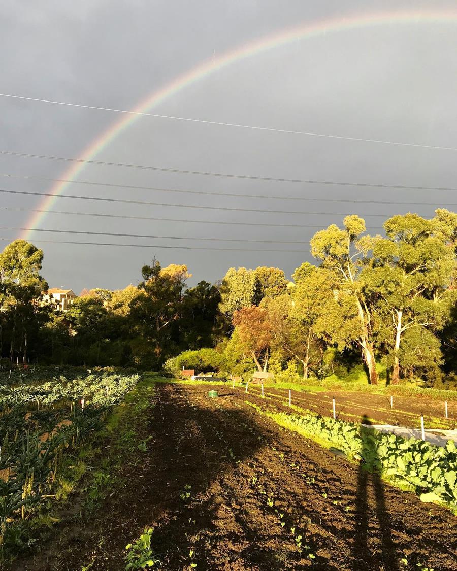 Rainbow-over-Joes-Garden - CERES Fair Food Rainbow over Joe's Garden, Coburg