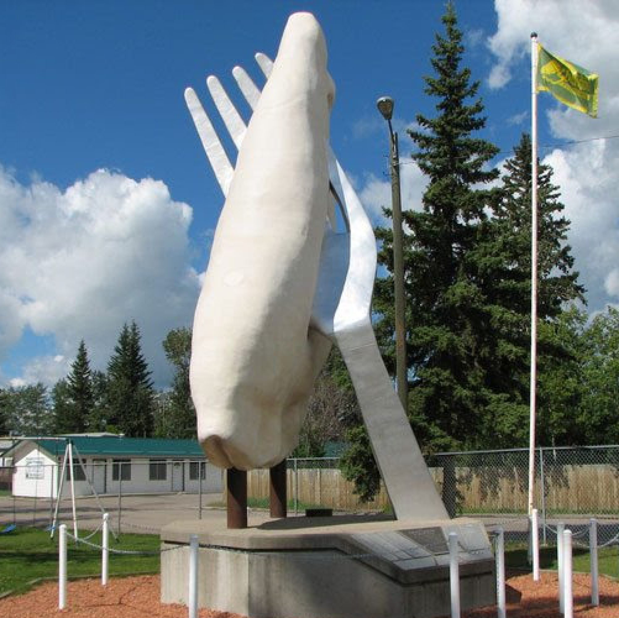 The big pierogi