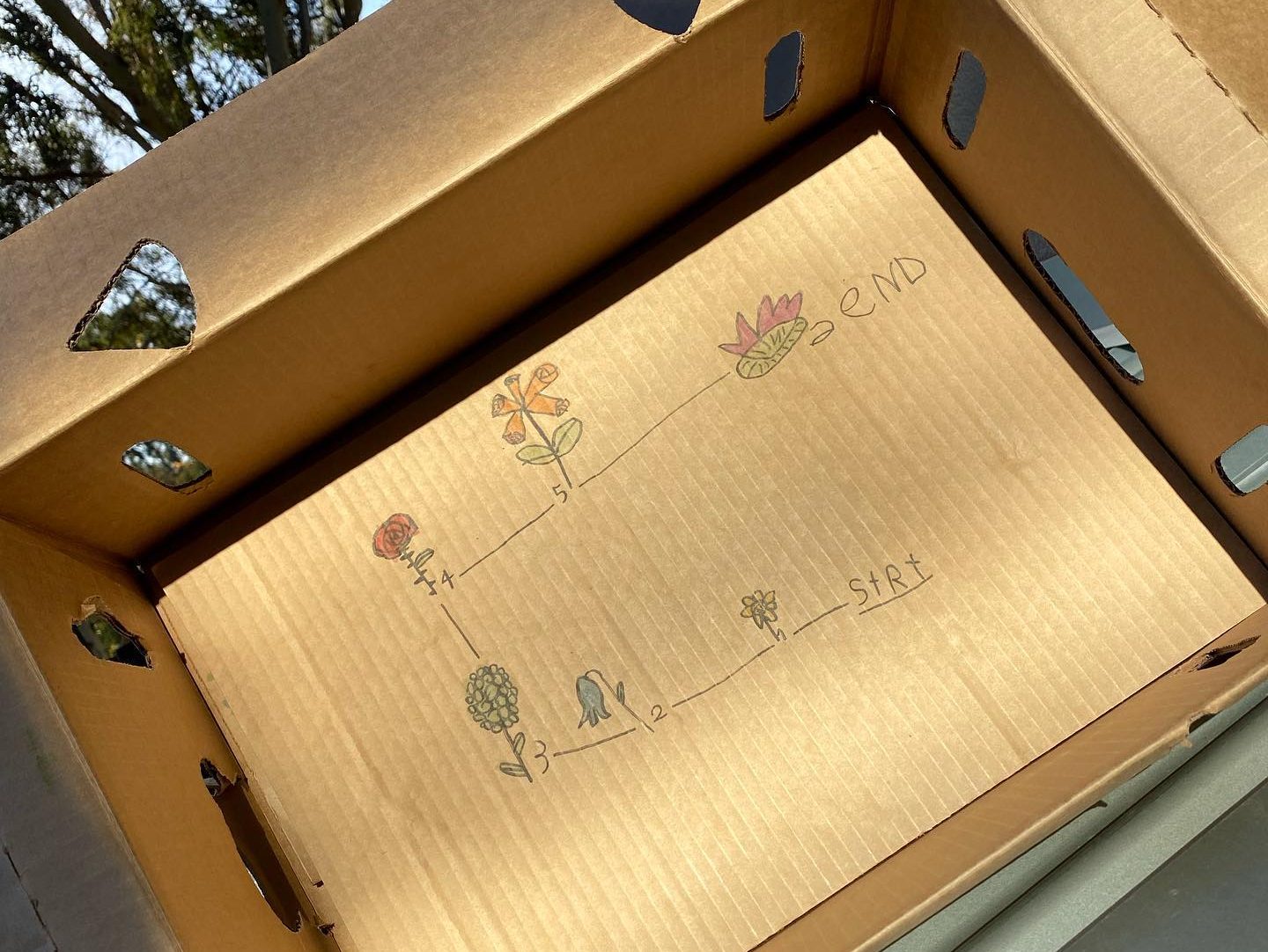 Board-Game-in-Box - CERES Fair Food