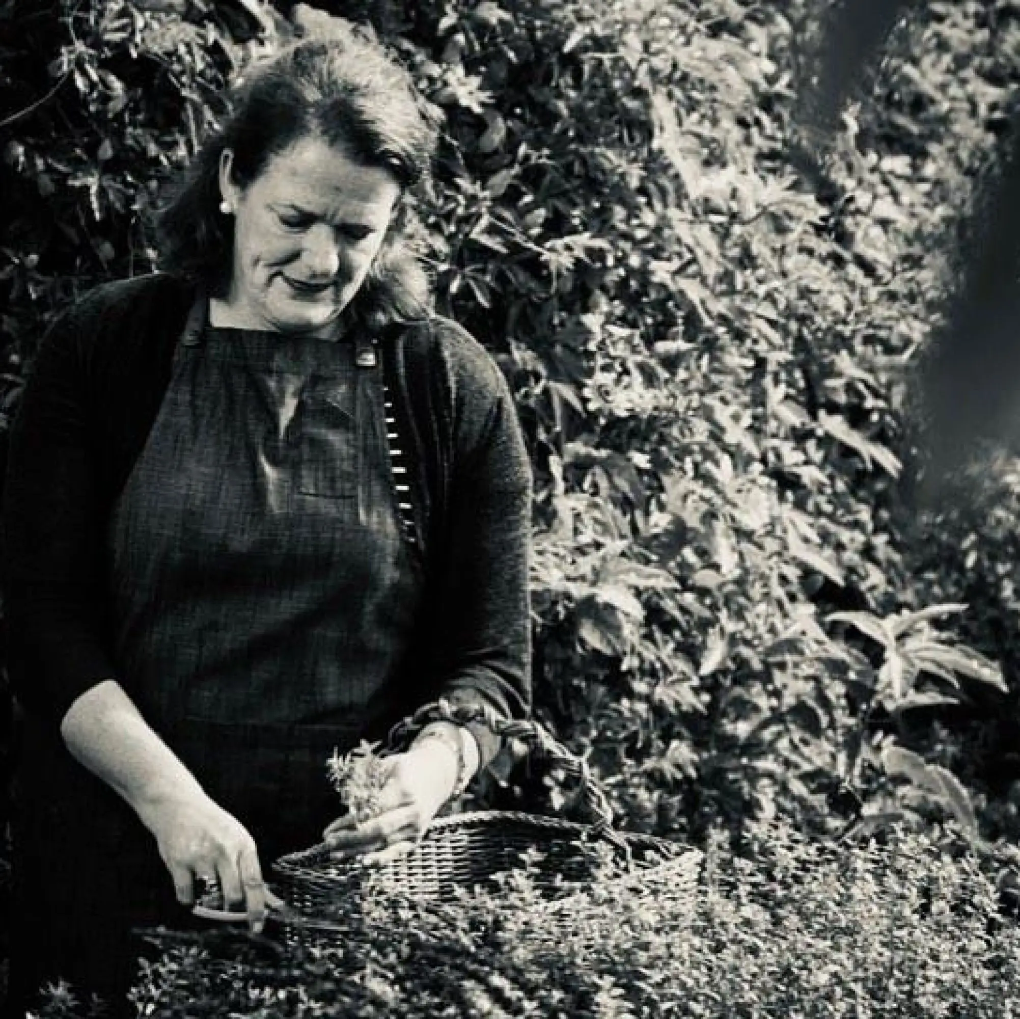 Sally Richardson, Otways Distillery