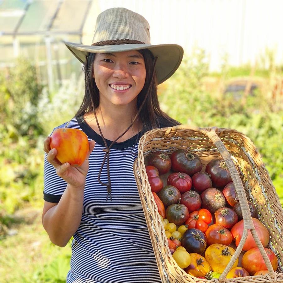 Thanisa-Adams-Wattle-Gully-Farm-Tomatoes - CERES Fair Food Thanisa Adams, Wattle Gully Farm