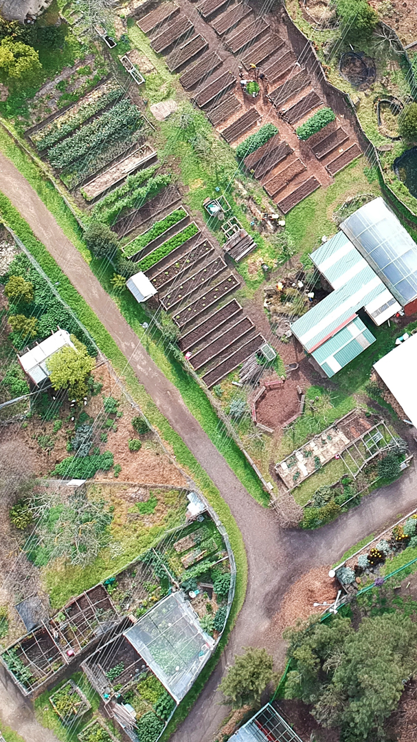 CERES Brunswick aerial