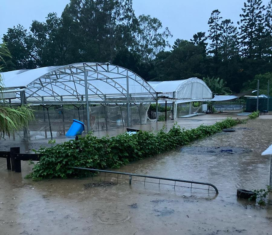 Flooding at Neighbourhood Farm, Brisbane 2022