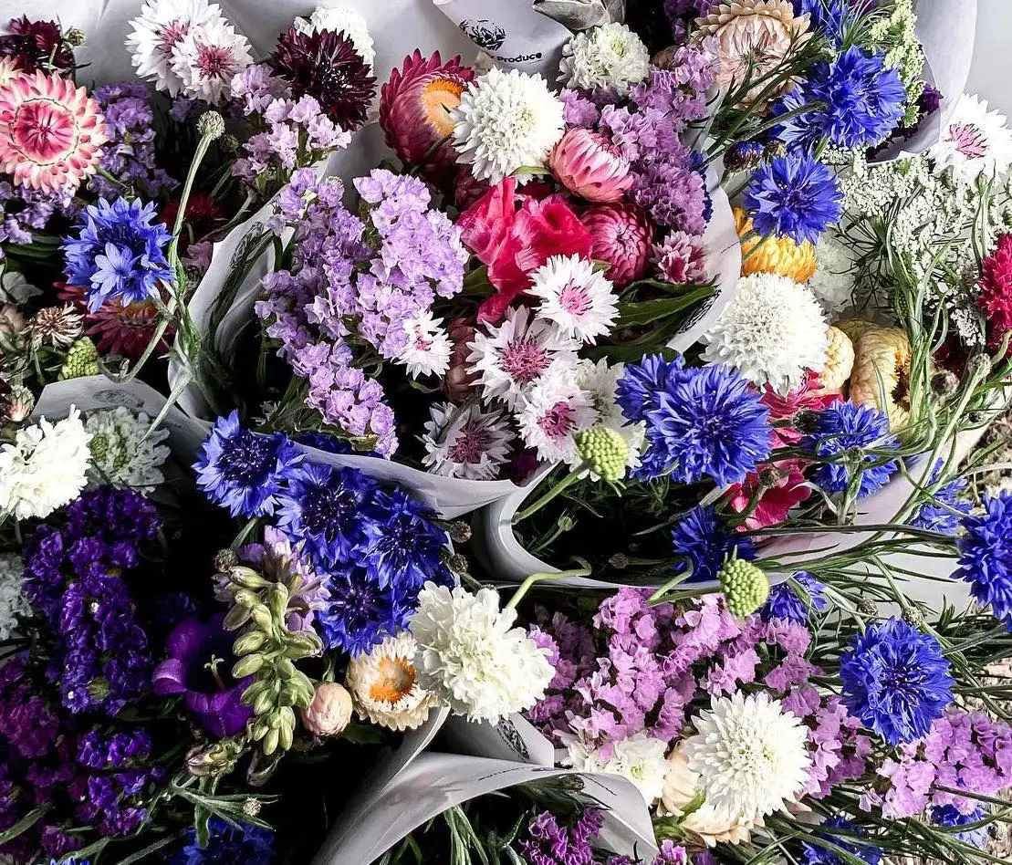 Wattle Gully Flowers - Summer bunch - CERES Fair Food Wattle Gully Flowers