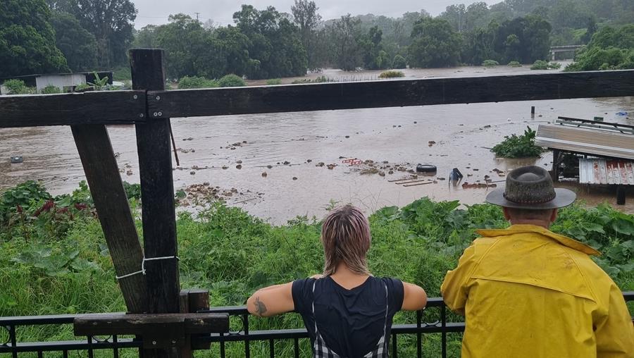 LoopFarminflood - CERES Fair Food Loop Growers farm in flood