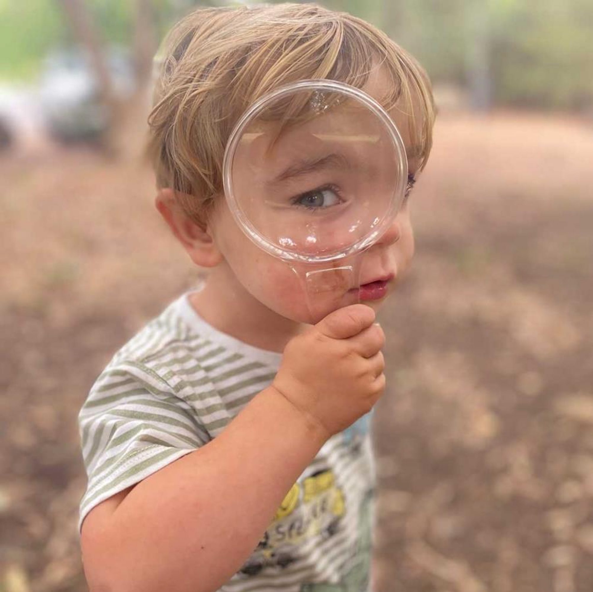 Bush kinder, curious child